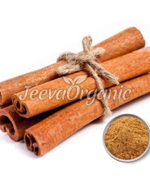 Cinnamon Bark Extract Powder