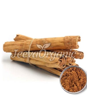 Cinnamon Bark Extract Powder