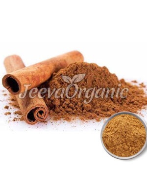 Cinnamon Extract Powder 4:1