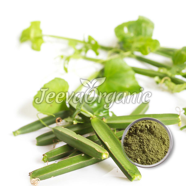Cissus-Extract-Powder-40%-Ketosterones Cissus Extract Powder