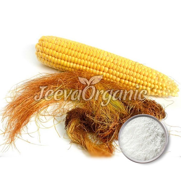 Corn-Silk-Extract-Powder Corn Silk Extract Powder