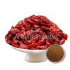 Cornus officinalis fruit extract powder