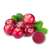 Cranberry Extract Powder