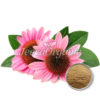 Echinacea angustifolia Extract