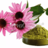Echinacea-purpurea-Extract-Powder
