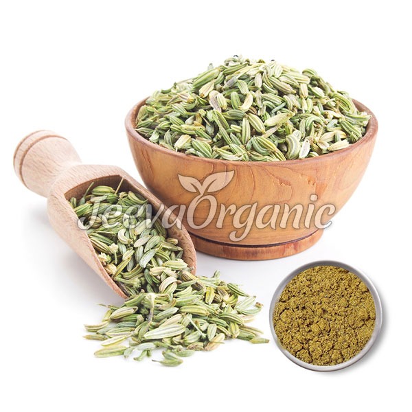 Fennel-Seed-Extract-Powder Fennel seed extract powder
