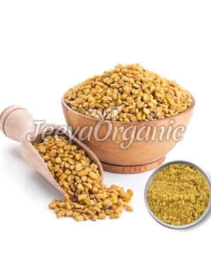Fenugreek Extract Powder