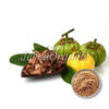 Garcinia Extract Powder
