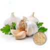 Garlic Extract Powder