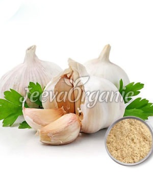 Garlic Extract Powder