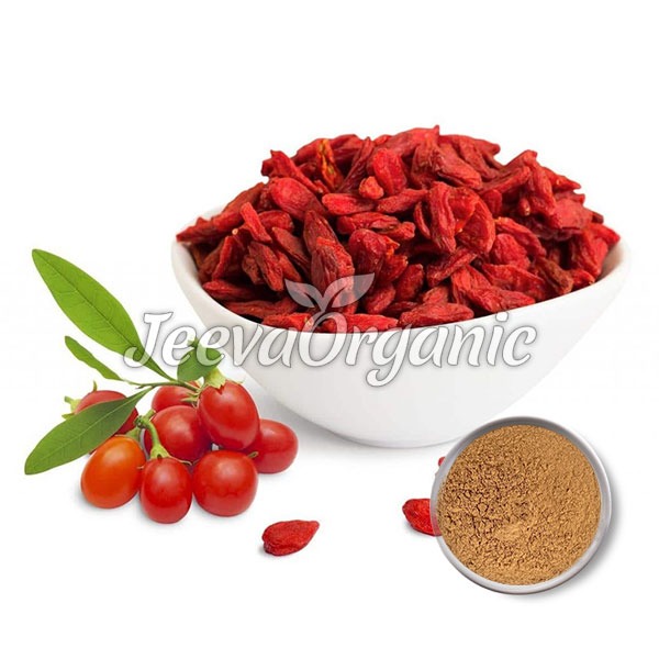 Goji-Berry-Extract-powder Goji Berry Extract Powder