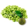 Green Coffee Bean Extract