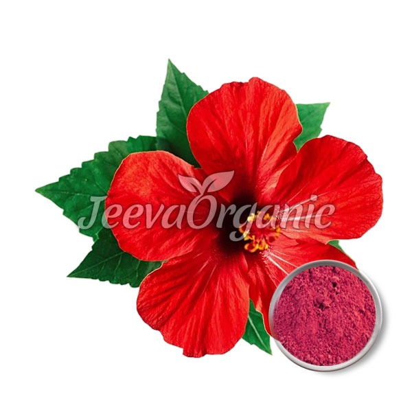 Hibiscus-extract-powder Hibiscus Extract Powder