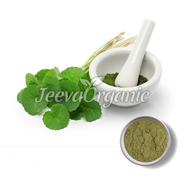 Gotu Kola Powder Gotu Kola Powder