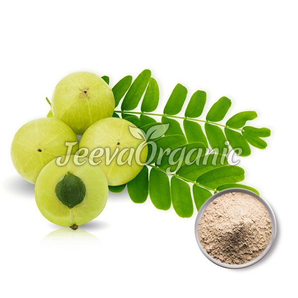 Amla Liquid Extract Amla Liquid Extract