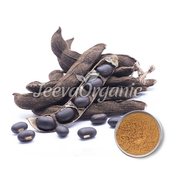 Mucuna-pruriens-Extract-Powder-15%-L-dopa Mucuna pruriens Extract Powder