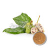 Noni-fruit-Extract-Powder-10-1