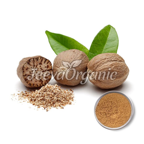 Nutmeg-Extract-Powder-5-1 Nutmeg Extract Powder