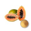 Organic-Papaya-Powder