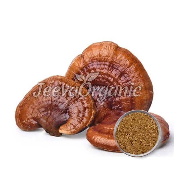 Organic-Red-Reishi-Mushroom-powder Reishi Mushroom Extract Powder