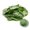 Spinach Extract Powder