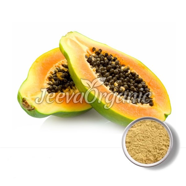 Papain-Carica Papain Powder