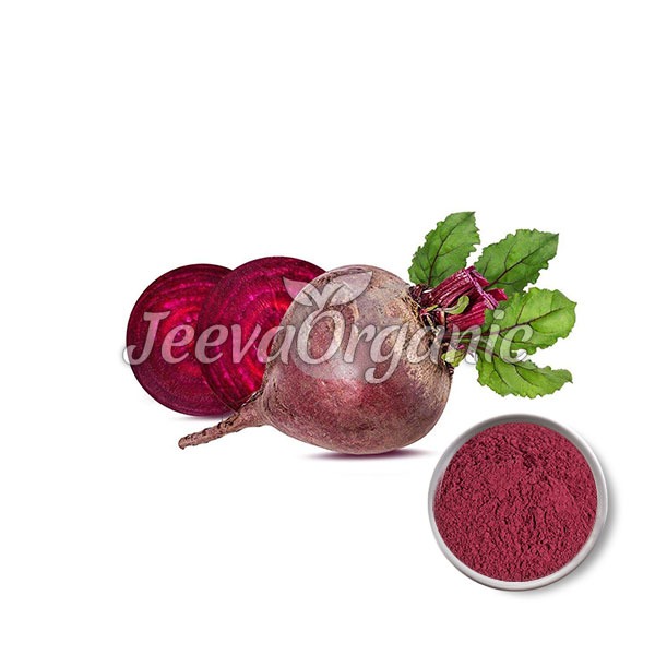 Red-Beet-Root-Extract-Powder-1%-Betaine Red Beetroot Extract Powder