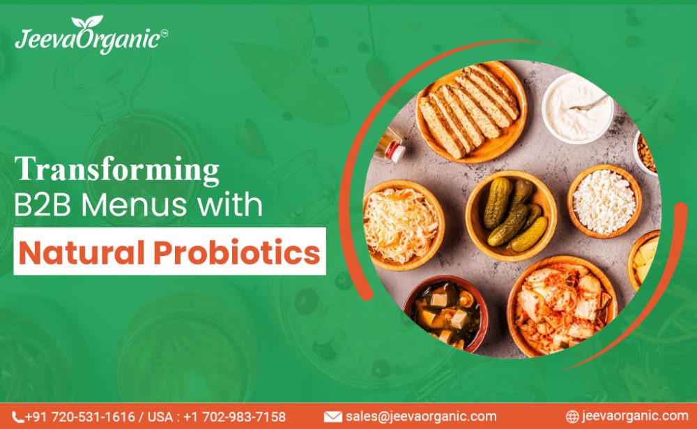 Natural Probiotic Rich Foods Revolutionizing B2B Menus