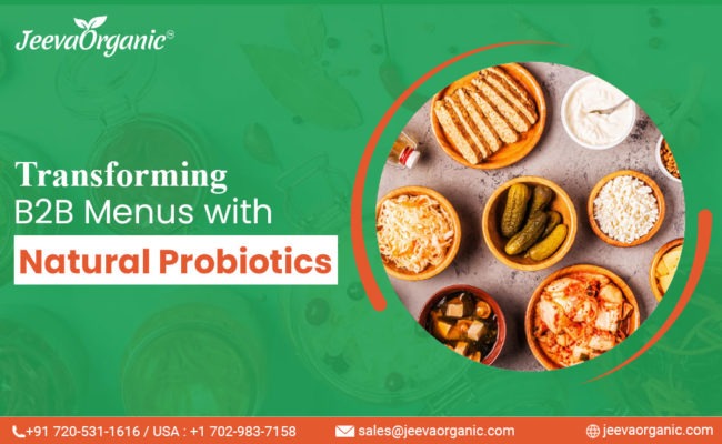 Natural Probiotic Rich Foods Revolutionizing B2B Menus