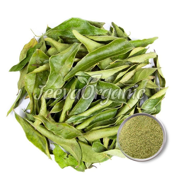 curry-leaves,dehydrated-powder curry leaves,dehydrated