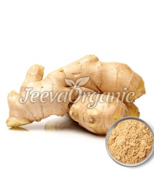 fermented-ginger-powder