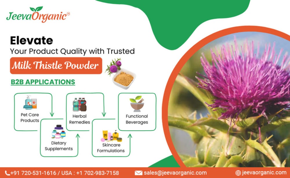 Milk Thistle Powder Supplier Importance