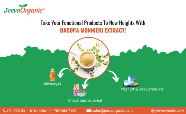 bacopa monnieri extract supplier