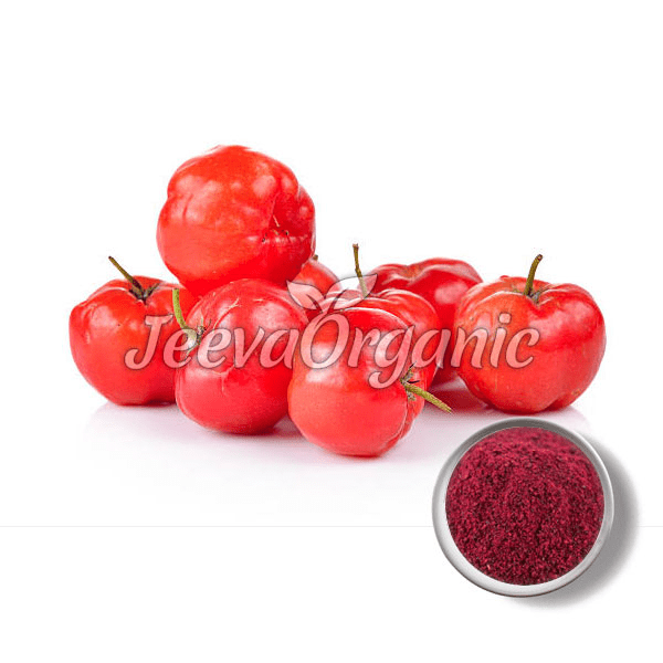 Acerola-Cherry-Powder Acerola Cherry Powder