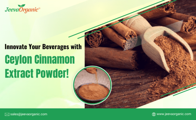 Ceylon Cinnamon Extract Powder: A Flavorful Journey