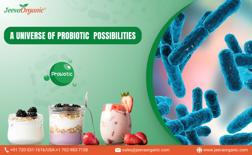 Probiotic-Rich Foods Spark Innovation with Diverse Foods