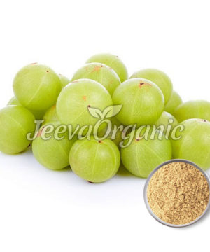 Amla Fruit Powder