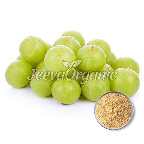 Amla-Fruit-Powder Amla Fruit Powder