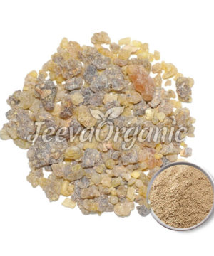 Boswellia Serrata Powder