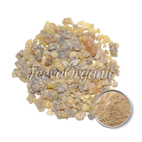 Boswellia-Serrata-Powder Boswellia Serrata Powder