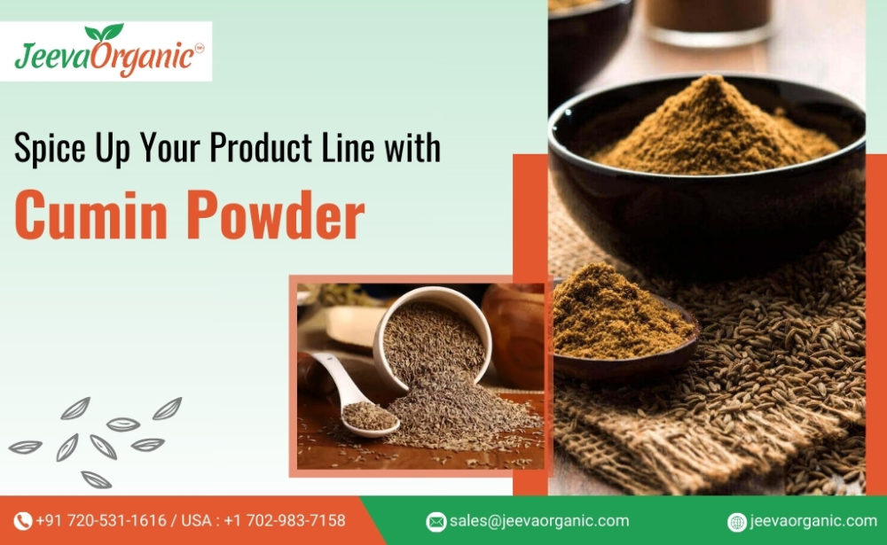 Cumin Powder-Flavor Potential in Food Manufacturing
