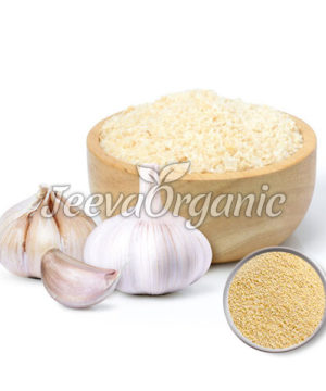 Garlic Powder