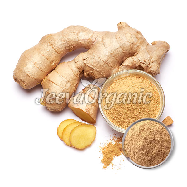 Ginger-Powder Ginger Extract Powder 2.5% Gingerol, HPLC