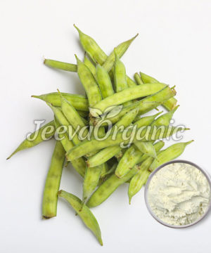 Guar Gum Fiber Powder, Partially Hydrolyzed