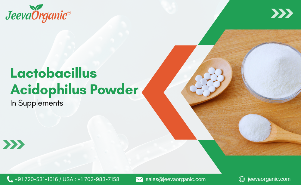 Lactobacillus Acidophilus Powder In Supplements