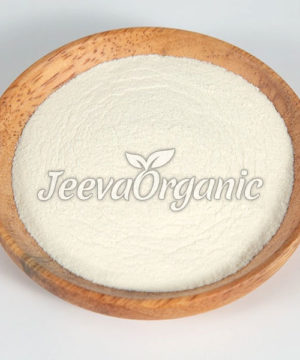 Lactobacillus reuteri Powder 10 B CFU/g