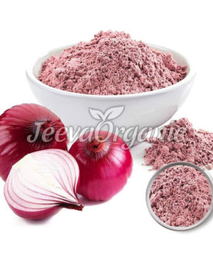 Onion Powder