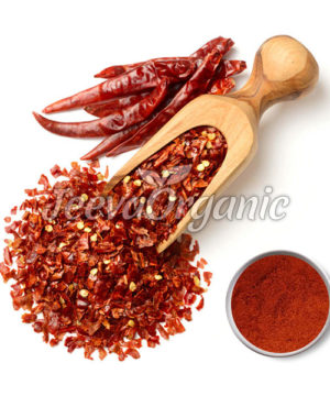Red Chilli Falkes