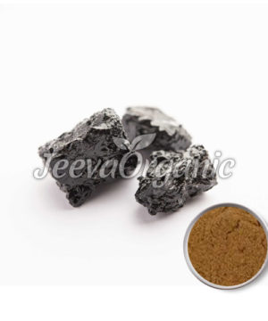 Shilajit Powder