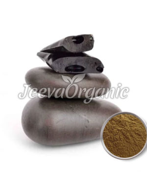 Shilajit Extract Powder 50 % Fulvic acid, Gravimetric